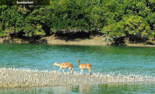 Sundarban tour 2 night 3 days package cost, Sundarban for 2N 3D